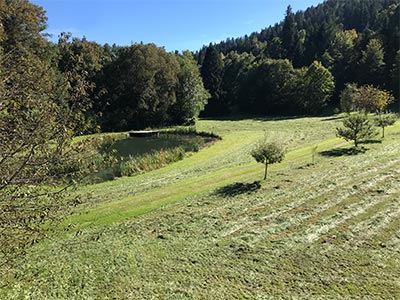 Marstadl Impressionen